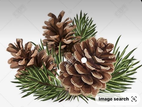 Pine Cones Painting, How To Draw Pine Cones, Pinecone Nails, Pinecone Drawing, Pine Cone Painting, Pine Cone Drawing, Christmas Orniments, Tree Drawings Pencil, Pastel Sec