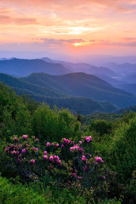 Spring Views Nature, Mountain Nature Aesthetic, Kentucky Landscape Photography, Pretty Mountain Pictures, Appalachian Wallpaper, Green Mountain Aesthetic Wallpaper, Mountain Asthetic Picture, Nature Real Photos, Tennessee Mountains Aesthetic