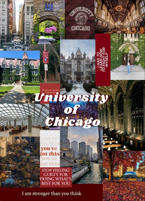 University Of Illinois Chicago, U Chicago University, Uic Chicago Aesthetic, Chicago College Aesthetic, Mit College Aesthetic, University Of Chicago Aesthetic, Chicago Aesthetic Wallpaper, American College Aesthetic, University Aesthetic Wallpaper