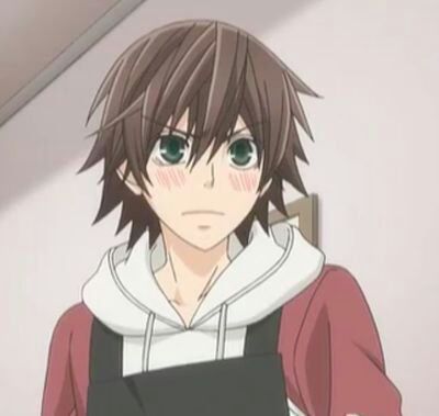 Misaki Takahashi, Junjo Romantica, Solo Pfps, Sekaiichi Hatsukoi, Pfp Icons, Chainsaw Man, Boys Love, Matching Icons, Aesthetic Anime