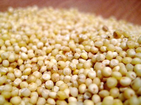 Good Grains: What Is Millet? How To Cook Amaranth, Amaranth Recipes, Food Grains, Ms Diet, Wheat Bran, Millet Recipes, Grain Recipes, Fermented Drink, Ancient Grains