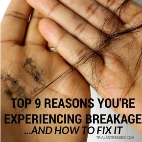 Here are the top 9 reasons you're experiencing hair breakage and how to fix it! These specifics will help get your natural hair growth back in order! African American Hair Growth, How To Prevent Hair Breakage, Hair Breakage Remedies, Afro Hair Care, Stop Hair Breakage, Breaking Hair, Hair Shedding, Healthy Hair Tips, Black Hair Care