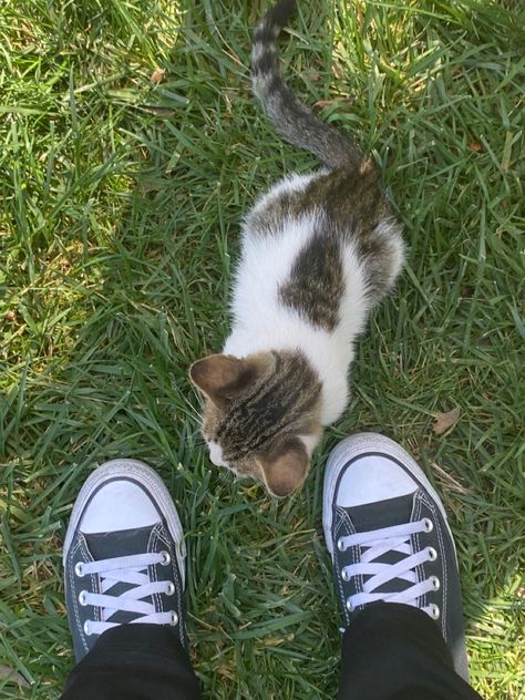 Gray Converse Aesthetic, Gray Converse Outfit, Cat Converse, Grey Converse Outfit, Grey High Top Converse, Converse Photography, Converse Ideas, Gray Converse, Converse Aesthetic