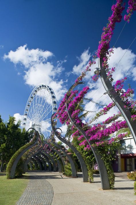 #SouthBank #Summer South Bank Brisbane, Southbank Brisbane, Brisbane City, Landscape Elements, Property Investment, South Bank, Shade Structure, Diy Pergola, Brisbane Australia