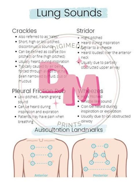 Make understanding and practicing lung auscultation and breath sounds easy with this simple, organized nursing cheat sheet. Bring this with you to class, during clinicals or on the job to aide your nursing assessments! Breath Sounds Nursing, Lung Abscess Nursing, Lung Assessment Nursing, Nursing Clinical Cheat Sheet, Fundamentals Of Nursing Cheat Sheets, Capnography Cheat Sheets, Emt Cheat Sheets, Lung Sounds Cheat Sheet, Respiratory Nursing Cheat Sheets