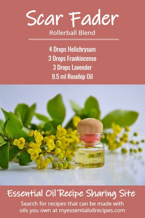 Essential Oil Scar Blend, Essential Oils For Scar Tissue, Esstenial Oils, Byuti Tips, Homemade Toiletries, Medicinal Remedies, Essential Oil Spray Recipes, Scar Remedies, Essential Oil Roller Bottle Recipes