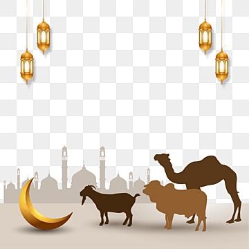 Ied Adha Background, Aidiladha Background, Eid Ul Adha Background, Camel Illustration, Camels Illustration, Aid Al Adha, Eid Ul Adha Mubarak, Bakra Eid, Islamic Celebrations