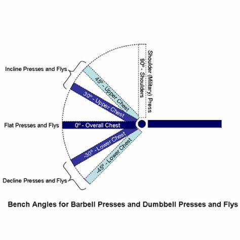 Bench Press Angles and Muscles Worked Bench Press Workout, Adjustable Bench Press, Crossfit Workouts Wod, Barbell Press, Weight Training Programs, Bodybuilding Program, Wod Workout, Incline Bench, Dumbbell Press