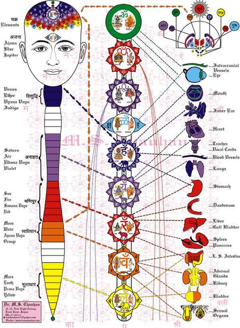 Planetary gems provide complete therapeutics for all diseases afflicting the human beings; Used on the same principles, the therapy will... Chakra Chart, Manipura Chakra, Chakra Art, Spirit Science, Chakra System, Chakra Yoga, Seven Chakras, Yoga Exercises, Les Chakras