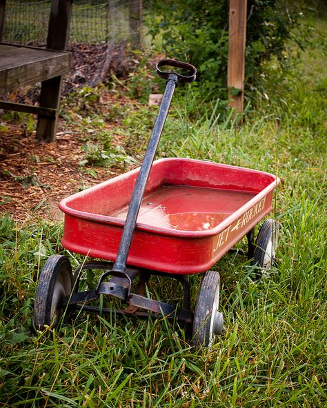 Little Red Wagon by Karol A Olson, via Flickr Red Wagon Photo Shoot, Red Flyer Wagon, Metal Wagon, Red Wagon, Ap Art, Calvin And Hobbes, Inner Child, Family Session, Garden Tools