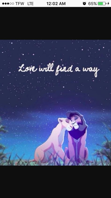 Le Roi Lion Disney, Love Will Find A Way, Lion King Quotes, King Pictures, Lilo En Stitch, Lion King 3, Lion King 1, Disney Cute, Lion King Pictures