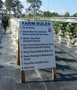 posted rules field instructions how to pick fruit how to garden Strawberry farm farm rules garden safety U Pick Berry Farm, Farm Tourism, How To Garden, Cut Flower Farm, Strawberry Farm, Farm Fun, Farm Business, Farm Lifestyle, Strawberry Picking