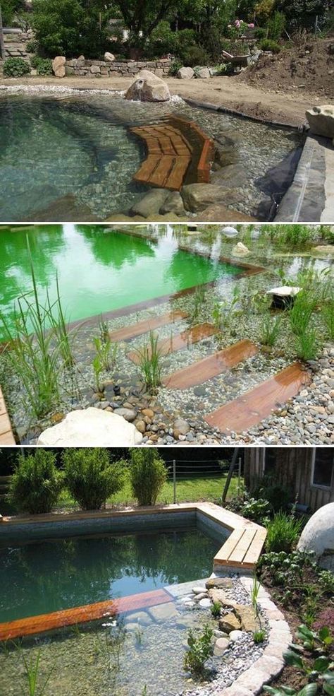 Moderne Pools, Building A Swimming Pool, Natural Swimming Ponds, Indoor Pools, Family Pool, Swimming Pond, Natural Swimming Pools, Natural Swimming Pool, Dream Pools