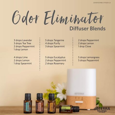 One of the most appealing things about using essential oils for cleaning is that they come from natural sources, and when used appropriately, it is safe for the entire family😉 Apart from using essential oil to clean the surface, you can also diffuse essential oil to cleanse the air and create an inviting aroma throughout every corner of your home. Essential Oils For Cleaning, Oils For Diffuser, Doterra Diffuser Blends, Essential Oil Combinations, Doterra Essential Oils Recipes, Essential Oil Diffuser Blends Recipes, Young Living Essential Oils Recipes, Essential Oils Guide, Essential Oil Spray