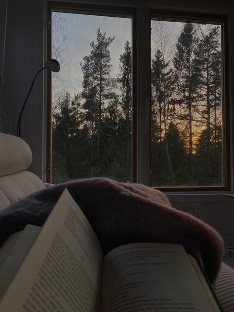 Trees, Sun, Reading, Bed