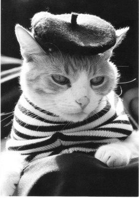 Alex, in a past life. Cats In Hats, Wearing A Hat, Here Kitty Kitty, I Love Cats, Kitty Kitty, Crazy Cat, Kitty Cats, Crazy Cat Lady, Cat Lady