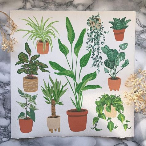 Jasmin on Instagram: "Some simple gouache houseplants on 30x30cm watercolor paper 🪴 - - - - #gouache #gouachepainting #winsorandnewton #schmincke #artist #painting #creative #aesthetic #artsy #flowerpainting #natureart #houseplant #houseplantlove #houseplantpainting #houseplantillustration #houseplantart #plantart #plantillustration #plantpainting #philodendron #syngonium #spiderplant #calathea #stringofhearts #succulent #plantsofinstagram #houseplantcommunity" Gouache Plants Illustrations, Gouache Plants Paintings, Guache Illustration Simple, Simple Succulent Painting, Houseplants Illustration, Plant Painting Ideas, Gouache Plants, House Plant Painting, Simple Gouache Painting