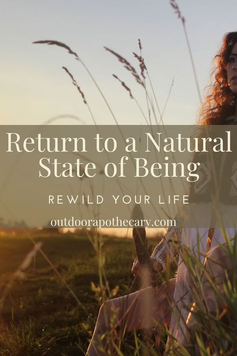 Health Guru, Forest Bathing, Alternative Healing, Holistic Lifestyle, Going Natural, Holistic Living, Closer To Nature, Nature Journal, Natural Life