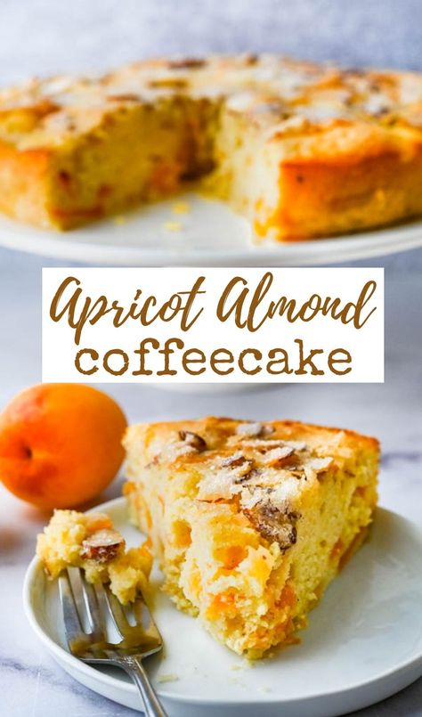 a slice of apricot cake. Apricot Jam Dessert Recipes, Keto Apricot Recipes, Almond Apricot Cake, Desserts With Apricots, Easy Apricot Recipes, Fresh Apricots Recipes, Apricot Bread Recipe With Fresh Apricots, Dried Apricot Recipes Baking, Fresh Apricot Recipes Healthy