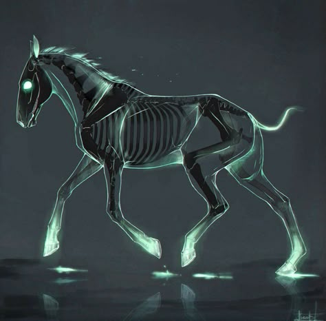 Undead Animals, Skeleton Horse, Mystical Animals, Fantasy Horses, Mythical Animal, Creature Drawings, Horse Drawings, Fantasy Creatures Art, Creatures Art