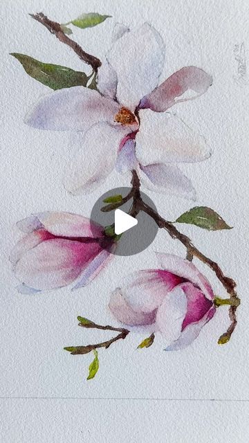 Delicate magnolia in watercolor and the process of its creation. 🌺🎨☀️
Support with a like!❤️🤗

You can buy it.🛒

#wat... | Instagram Watercolor Magnolia Tree, Easy Magnolia Painting, Watercolour Magnolia, Japanese Magnolia Painting, Paint Magnolia Flower, Magnolia Gouache Painting, Watercolor Magnolia, Aquarelle Painting, Magnolia Tree