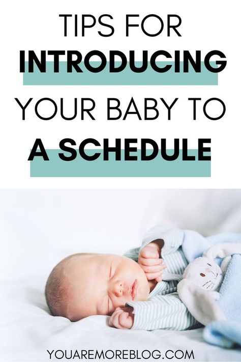 Sample Newborn Schedule, Start A Routine, Baby Check, Newborn Schedule, Baby Schedule, Baby Sleep Schedule, Sleep Training Baby, Sleep Tips, School Related