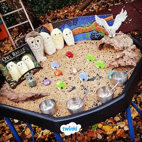 Owls Eyfs Activities, Owl Sensory Activities, Preschool Owl Activities, Owl Babies Activities, Owl Babies Eyfs Activities, Small World Area, Owl Activities, Tuff Tray Ideas Toddlers, Story Sacks