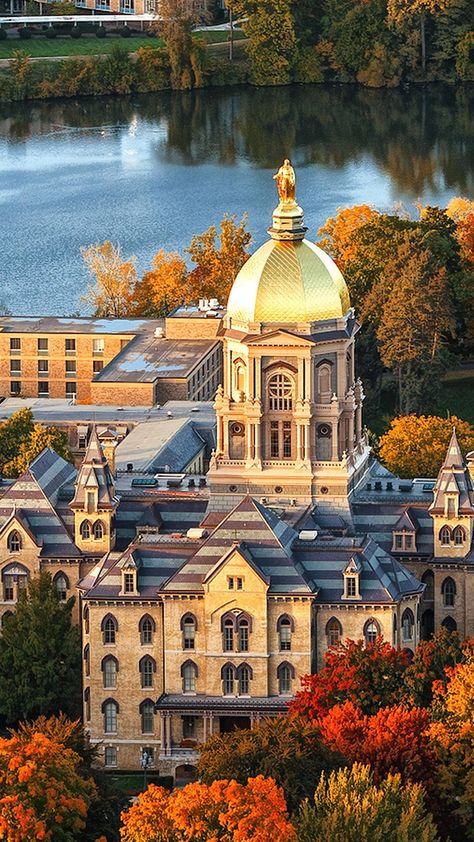 University of Notre Dame Notre Dame Gifts, Notre Dame Wallpaper, Notre Dame Baby, Notre Dame Campus, Noter Dame, Notre Dame College, Campus Aesthetic, Saint Marys College, Golden Dome