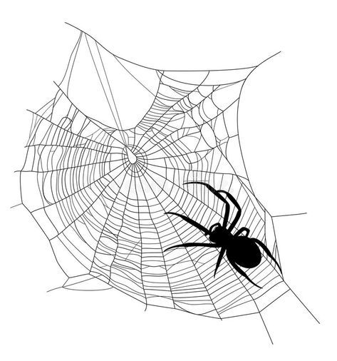 Spider web. Spider on the web - black insect silhouette crawling the net on whit #Sponsored , #PAID, #Affiliate, #web, #insect, #net, #black Spider Crawling, Spider Web Drawing, Outlaw Tattoo, Black Widow Tattoo, Black Insects, Spider Net, Book Sketch, Spider Illustration, Spider Drawing