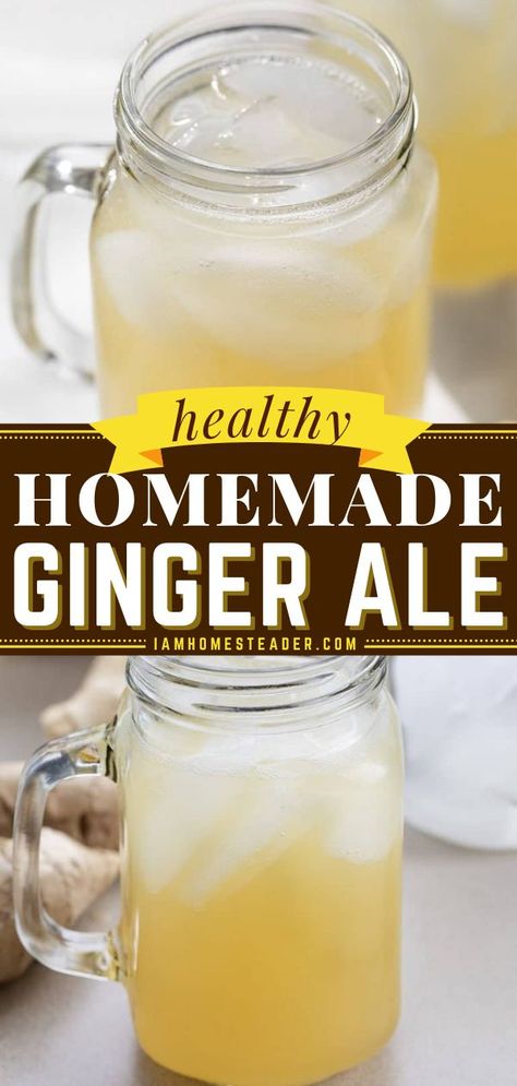 Homemade Ginger Syrup, Home Made Ginger Tea, Homemade Ginger Ale Healthy, Ginger Drink Recipe Healthy, Ginger Cold Drink, Homemade Gingerale Recipe, Recipes With Ground Ginger, Essen, Homemade Ginger Drink