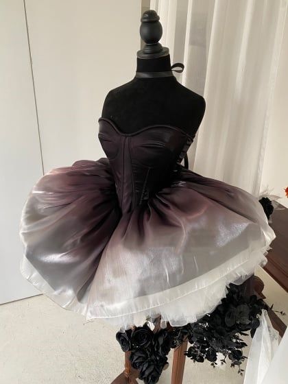 Ribcage Dress, 3s Outfit, Bone Dress, Porcelain Dress, Boned Bodice, Puff Dress, Jumper Skirt, Black Ombre, Ballet Dress