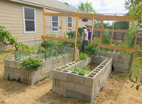 Raised Garden Bed Cinder Block, Raised Garden Beds Concrete Blocks, Breeze Block Planters Raised Garden Beds, Cinder Block Raised Garden Bed Ideas, Landscaping With Cinder Blocks, Cinder Block And Wood Raised Garden Bed, Cinder Block Planter Boxes, Tall Raised Garden Beds Diy, Raised Garden Bed On Slope