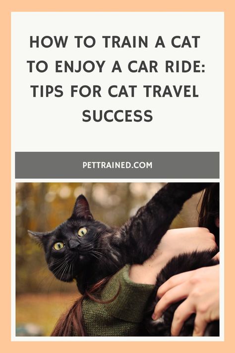 Cat being held outdoors with autumn foliage, accompanying text: "How to Train a Cat to Enjoy a Car Ride: Tips for Cat Travel Success." Travel Bag Ideas, Train A Cat, Cat Behavior Problems, Cat Travel Carrier, Natural Cat Food, How To Cat, Cat Years, Living With Cats, Travel Carrier