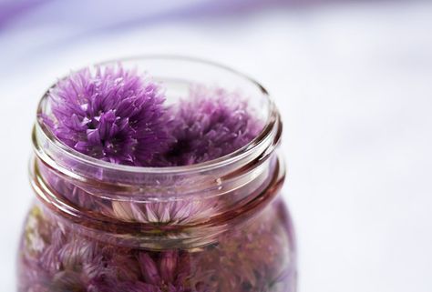 Chive Blossom Vinegar Types Of Vinegar, Chive Blossom, Champagne Vinegar, Lovely Lavender, Wine Vinegar, White Wine Vinegar, Fresh Chives, Flower Food, Fermenting