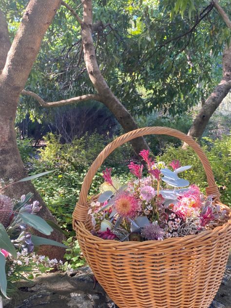 a little rounded woven basket sits on a stone wall in the foreground, filled with beautiful pink native australian flowers. in the background is bush. Flower Basket Aesthetic, Persephone Design, Flower Picking Basket, Wicker Basket With Flowers, Taurus Szn, Basket Cottagecore, Basket Full Of Flowers, Peaceful Summer, Farm Core