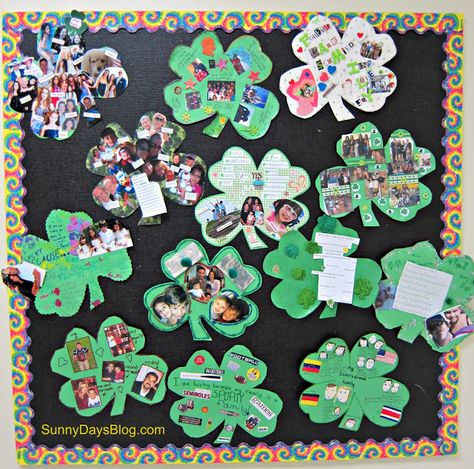 Lucky Family Project:  Send a Shamrock shape home and have families work together to decorate the Shamrock.  Printable and everything you need is here from Sunny Days in Second Grade.  Great idea! March Bulletin Board, March Themes, Spring Bulletin, March Crafts, Teaching Holidays, Spring Bulletin Boards, March Activities, Preschool Bulletin, St Patrick's Day Crafts