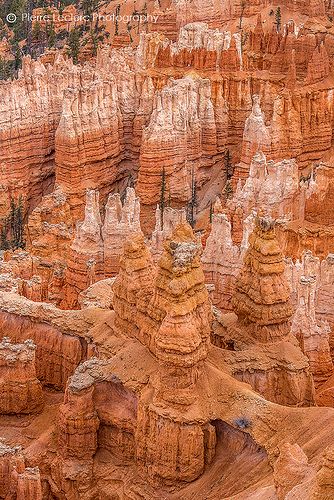 Mossy Cave, Cave Waterfall, Arizona Road Trip, Utah Road Trip, Capitol Reef National Park, National Park Road Trip, Utah Travel, Fairy Queen, Bryce Canyon National Park