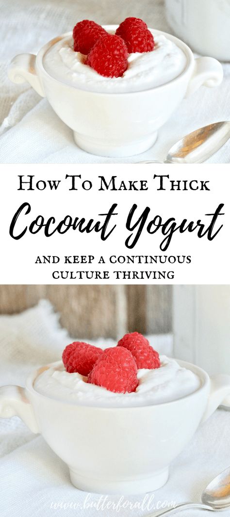 Thermomix, Coconut Yogurt Recipe, Coconut Milk Yogurt, Probiotic Yogurt, Coconut Dessert, Dairy Free Yogurt, Probiotic Foods, Vegan Yogurt, Homemade Yogurt