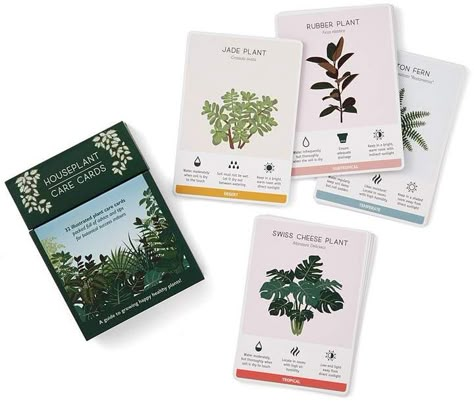 Houseplant Care Cards Plant Care Cards Diy, Kids Hospital, Packing Box Design, Interactive Art Installation, Houseplant Care, Plant Maintenance, Seed Kit, Plant Care Houseplant, Seed Packaging