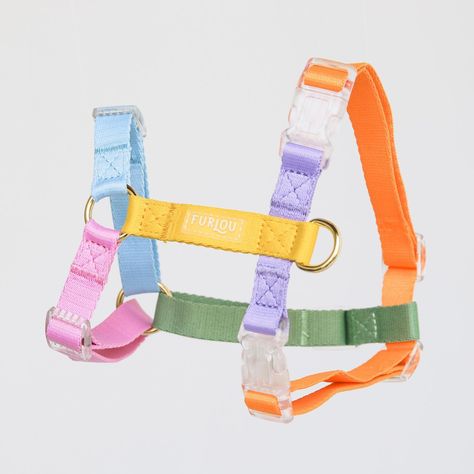 Furlou ⇾ Dog Accessories (@furlou_) • Instagram photos and videos Rainbow Dog, Rope Leash, Poop Bag Holder, Bag Holder, Dog Harness, Dog Accessories, Dog Leash, D Ring, Clip Ins