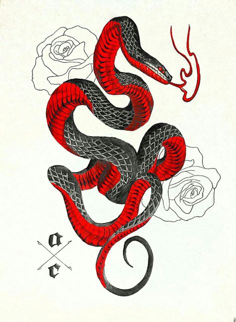 Red Snake Drawing, Red Belly Black Snake Tattoo, Coiled Snake Drawing, Red And Black Snake Tattoo, Snake Doodle, Black Snake Tattoo, Red And Black Snake, Snake Painting, Crown Drawing