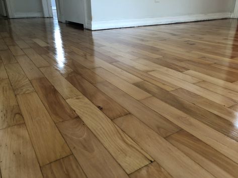 Staining Maple Hardwood Floors - Oil vs Water-Based Polyurethane - Hardwood Floor Refinishing Maple Wood Floor Stain Colors, Stained Maple Floors, Maple Floor Stain Colors, Refinished Maple Floors, Maple Wood Flooring, Maple Flooring, Floor Stain Colors, Wood Floor Stain Colors, Maple Hardwood Floors