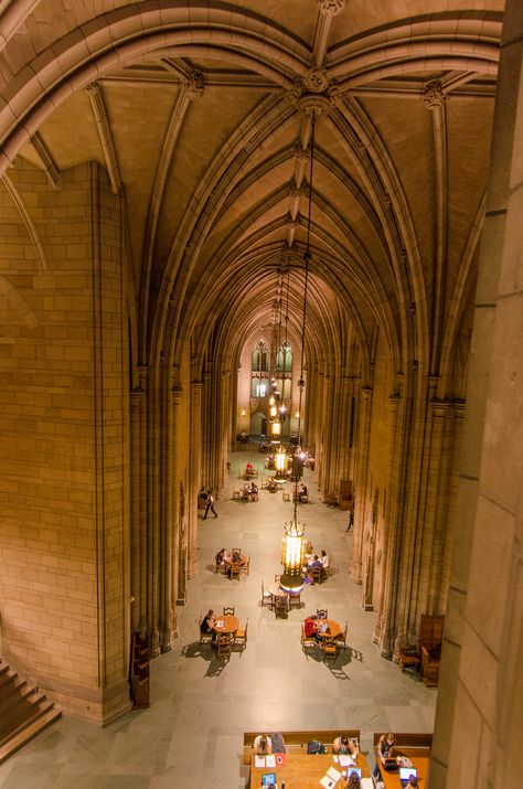 Pitt University, Cathedral Of Learning, Things To Do In Pittsburgh, Visit Pittsburgh, Pennsylvania Travel, Carnegie Museum Of Art, Globe Travel, College Aesthetic, University Of Pittsburgh