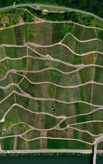 Stunning Photos Of Earth From Above Will Change Your Outlook Of The Planet | Co.Exist | ideas + impact Fields From Above, Aerial Views Landscape, Earth From Above, Texture Study, Nature Patterns, Map Quilt, Drone Flying, Earth Photos, Coffee Farm