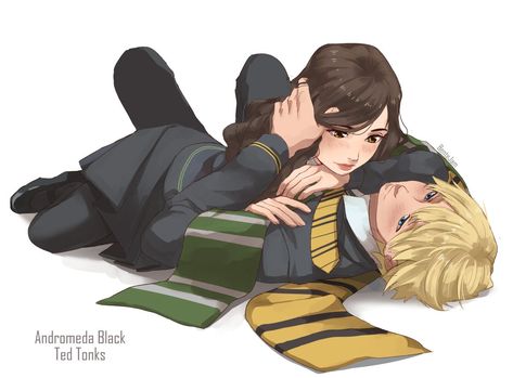 Hufflepuff Couple, Andromeda Black Fanart, Ted Tonks, Andromeda Black, Nymphadora Tonks, Slytherin And Hufflepuff, Black Sisters, Harry Potter Scene, Harry Potter Artwork