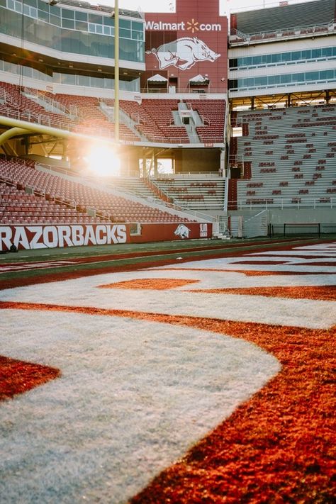 Fayetteville Arkansas Aesthetic, University Of Arkansas Aesthetic, Arkansas University, Arkansas Wallpaper, Arkansas Razorbacks Wallpaper, University Of Central Arkansas, Razorback Baseball, Arkansas Football, Arkansas Razorbacks Baseball