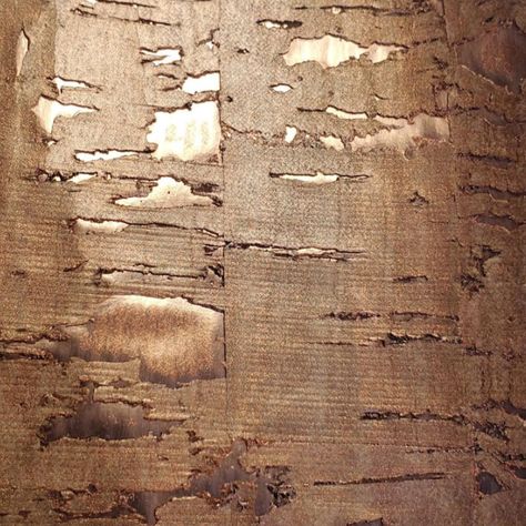 Birch Cork Wallpaper by Designer Wallcoverings - Cork with metallic ink metallic paper backing Beautiful Accent Walls, Metallic Bedroom Ideas, Cork Wall Ideas, Wallpapered Furniture, Brass Wallpaper, Cork Ceiling, Hacienda Bedroom, Restaurant Wallpaper, Cork Wall Panels