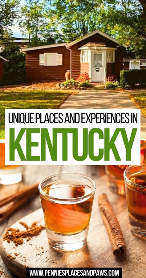 Unique Places and Experiences in Kentucky Dream Destinations Bucket Lists, Kentucky Attractions, Kentucky Vacation, Creation Museum, Paducah Kentucky, California With Kids, Museum Plan, Kentucky Travel, Trip Destinations