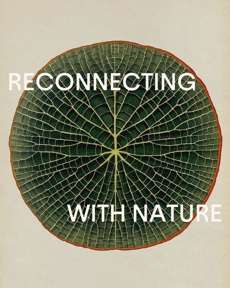 With nearly 85% of Americans living in urban areas, it’s become easier for us to lose touch with nature. We have somehow deprioritized the need to connect with the earth without being fully aware of what we’re missing out on. We may take for granted the palm trees in the distance on our morning commute or the river that runs underneath the bridge we cross to get across town. Read more on the power of nature though the link. Katie Scott, 𝘉𝘰𝘵𝘢𝘯𝘪𝘤𝘶𝘮 – 𝘎𝘪𝘢𝘯𝘵 𝘞𝘢𝘵𝘦𝘳𝘭𝘪𝘭𝘺 (2016) Eco Conscious Aesthetic, Fresh Graphic Design, Growth Graphic Design, Nature Poster Design, Nature Graphic Design, We Are Nature, Nature Crown, Crown Affair, Nature Texture