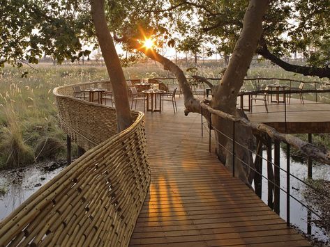 Editors' Picks: The Best Safari Lodges and Camps in Africa - Condé Nast Traveler Sandibe Okavango Safari Lodge, Botswana Nature, Okavango Delta, Luxury Safari, Safari Lodge, Botswana, Walkway, Garden Bridge, Nature Inspiration, The Sun